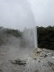  Wai-o-Tapu, nr Rotorua