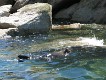  Abel Tasman Nat. Park