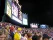  Fenway park