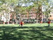  Football in Chinatown