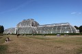  Palm House, Kew Gardens